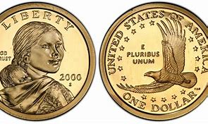 Image result for 2000 Sacagawea Dollar Feeder Fingerprint