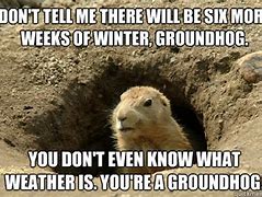 Image result for Groundhog Day Hold Me Meme