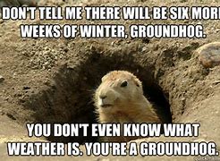 Image result for Groundhog Day Coffee Meme