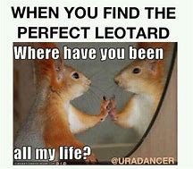 Image result for Squirrel Happy Dance Meme