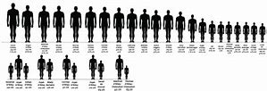 Image result for Human Height Comparison Chart