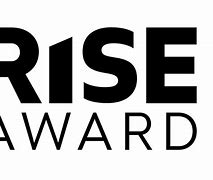 Image result for Rise Success Box