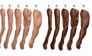 Image result for Types of Arms