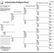 Image result for 10 Generation Pedigree Chart