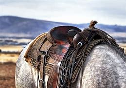 Image result for Horse Bits Western