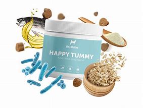 Image result for Makong Your Tummy Happy