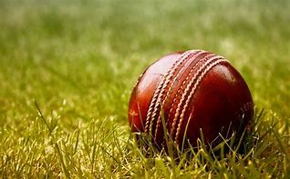 Image result for Free Cricket Designs