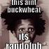 Image result for Buckwheat Meme