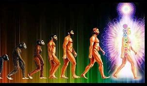 Image result for Human Evolution Android Game