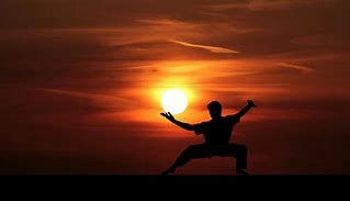 Image result for Chinese Martial Arts