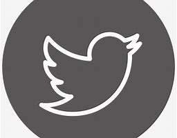 Image result for Twitter Logo Grey