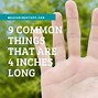 Image result for 4 Inches Long