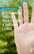 Image result for Things That Are Four Inches Long