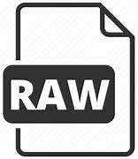 Image result for RAW image format