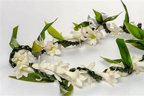 Image result for Traditional Hawaiian Lei