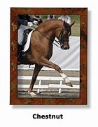 Image result for Sridig Horse Frame