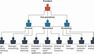 Image result for Positions in a Tech Company