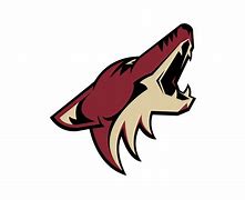 Image result for Coyote Graphics