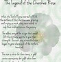 Image result for cherokee rose