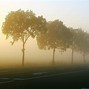 misty morning 的图像结果