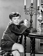 Image result for Butch Patrick Actor The Munsters