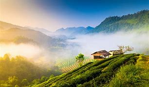Image result for Chiang Mai Thailand Scenery