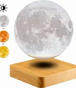 Image result for moon·light·ing