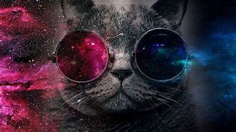 Image result for Galaxy Cat 1080P Wallpaper