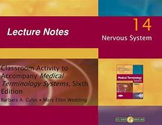 Image result for Class Notes Template