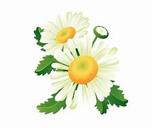 Image result for Flowers Collage Banner