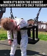 Image result for Longest Week Only Tuesday Meme