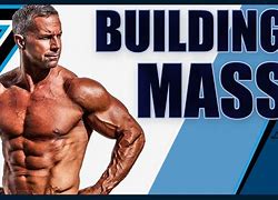 Image result for Mike Ryan Fitness