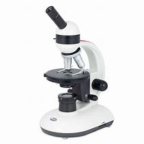 Image result for 400X Microscope