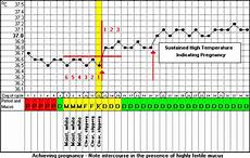 Basal Temperature During Pregnancy Women Health Info Blog