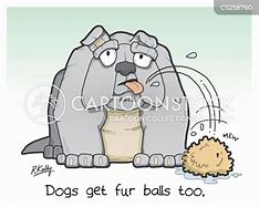Image result for Funny Dog with Hair Ball On It