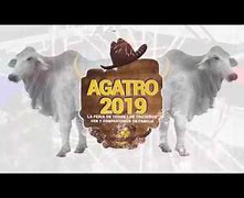 Image result for agatro