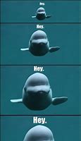 Image result for Whale Head Meme