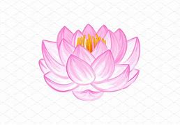 Image result for Lotus Flower Illustration