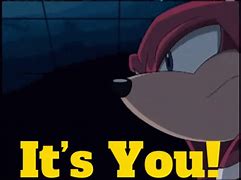 Image result for Knuckles Idk GIF