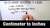 Image result for Convert Cm to Inches