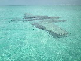 Image result for Underwater Plane Wreck