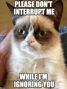 Image result for Memes About Being Ignored