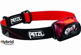 Image result for Petzl Minion