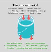 Image result for Stress Bucket Diagram