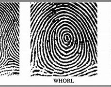 Image result for Fingerprints. The Gifted Touch