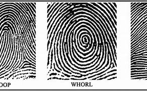 Image result for Fingerprint Test