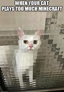 Image result for Minecraft Cat Build Meme