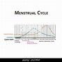 Image result for Circular Cycle Figure