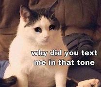 Image result for Text Response Memes