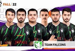 Image result for Team Falcons eSports Saudi Arabia